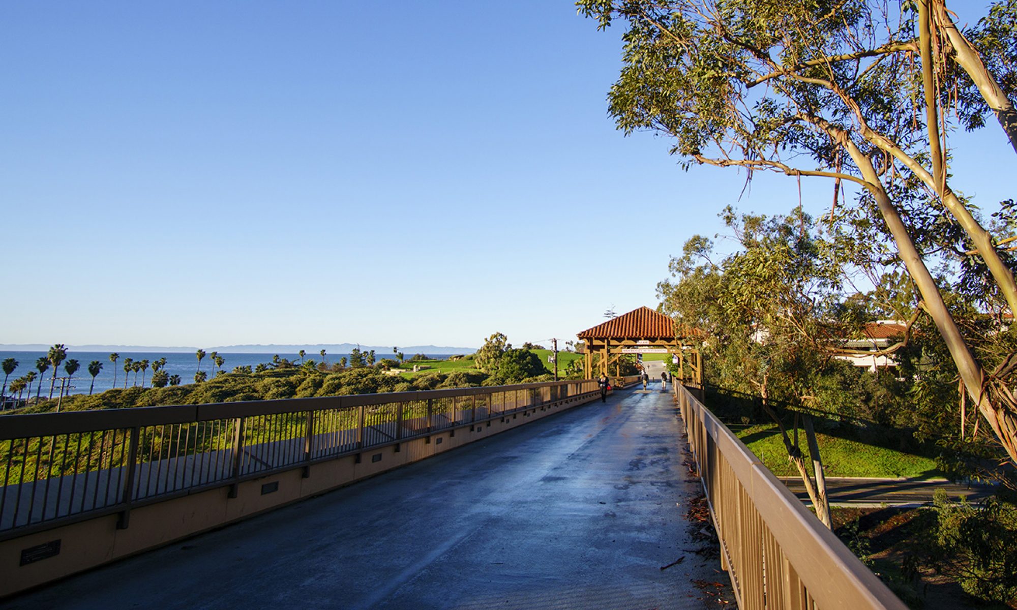 SBCC Bridge